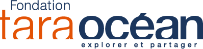 Tara Ocean Foundation - Return of the 2019 Microplastics mission on November 23rd 2019