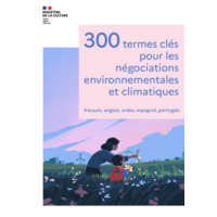 300 termes clés pour les négociations environnementales et climatiques (COP 2025)